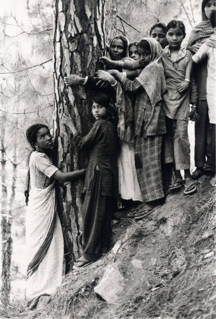 Chipko Movement 1973 - Indian Media Studies